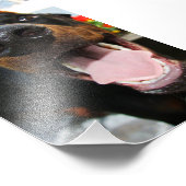 Photo Doberman (Coin)