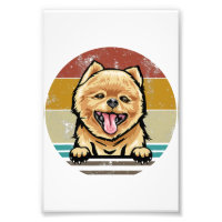 Photo Dog Premium Satin Papier photo Élargissement