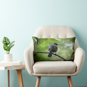 Photo D'Oiseau De Chat Sur Un Oreiller À Thon