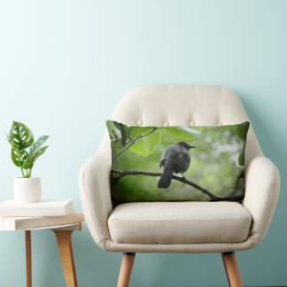 Photo D'Oiseau De Chat Sur Un Oreiller À Thon