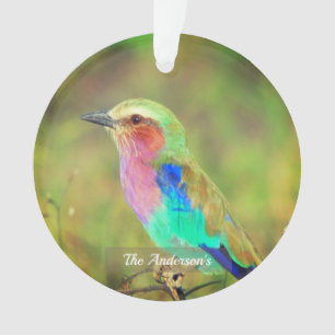 Photo d'oiseau multicolore personnalisé