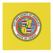Photo Drapeau de la ville d'Honolulu, Hawaii Cube (Droite)