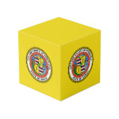 Photo Drapeau de la ville d'Honolulu, Hawaii Cube (Angle arrière)