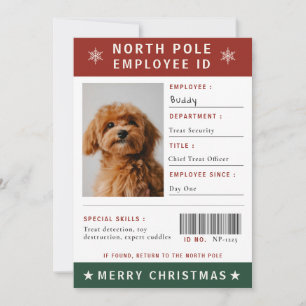 Photo drôle de chien pour carte de Noël avec carte