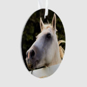 Photo du Cheval Blanc (devant)