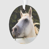 Photo du Cheval Blanc (devant)