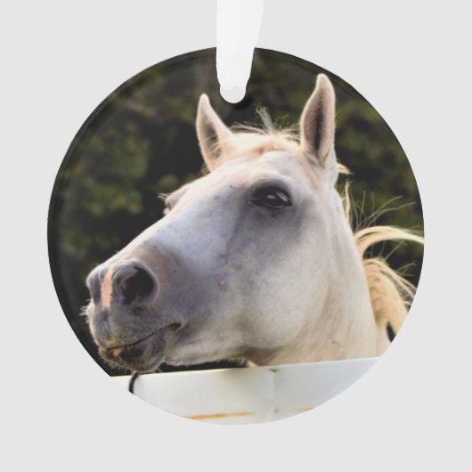 Photo du Cheval Blanc (devant)