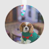 Photo du mémorial du chien de chat dos (dos)