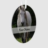 Photo du poney de Cute (devant)