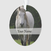 Photo du poney de Cute (devant)