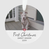 Photo du premier Noël de chiots (devant)