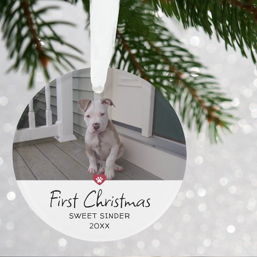 Photo du premier Noël de chiots