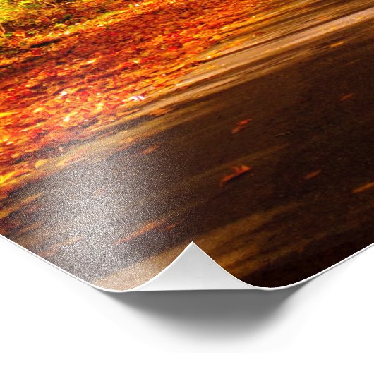 photo du sentier (Coin)