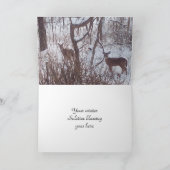 Photo du solstice d'hiver de cerfs couchés (Intérieur)