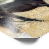 Photo d'un cheval avec une focale douce (Coin)