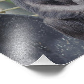 Photo d'un chimpanzé assis et debout (Coin)