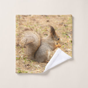 Photo d'un écureuil mignon mangeant une noix