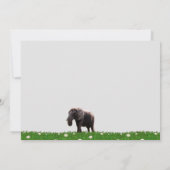 Photo d'une carte africaine éléphant (Dos)