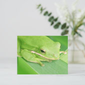 Photo d'une carte postale de grenouille à arbre (Debout devant)