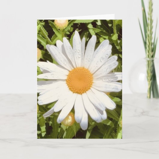 Photo d'une Fleur de la Nouvelle-Angleterre Carte  (Devant)