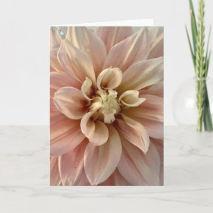 Photo d'une Fleur de Nouvelle-Angleterre Carte de