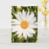 Photo d'une Fleur de Nouvelle-Angleterre Carte de (Fleur jaune)