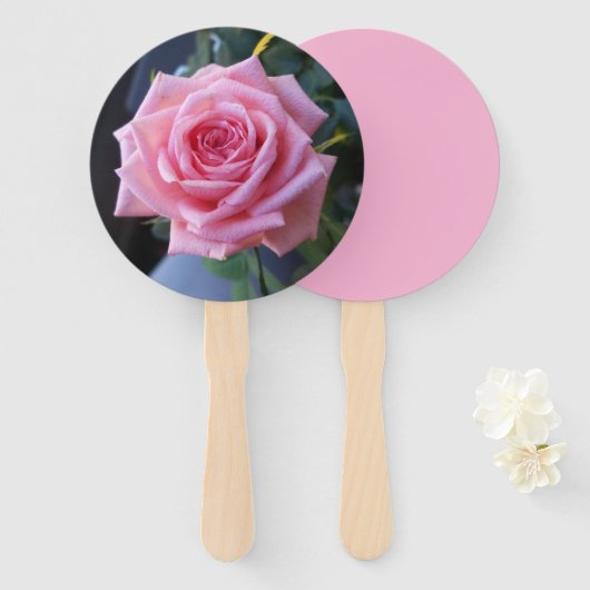 Photo d'une rose rose sur un éventail à main (Devant et derrière)