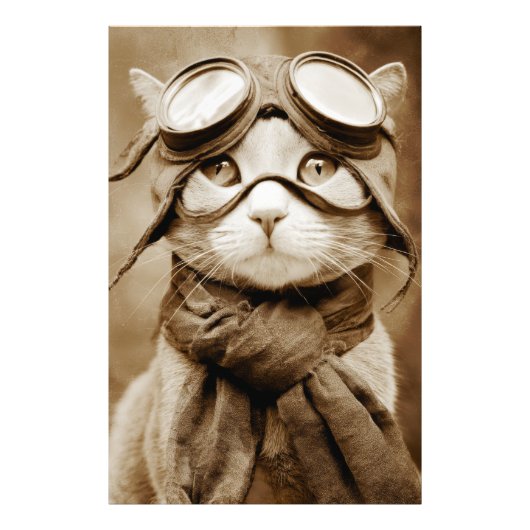 Photo Écharpe Chat Lunettes Vintage Impression Rétro (Devant)