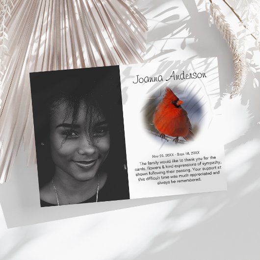 Photo élégante Merci funéraire du cardinal rouge c