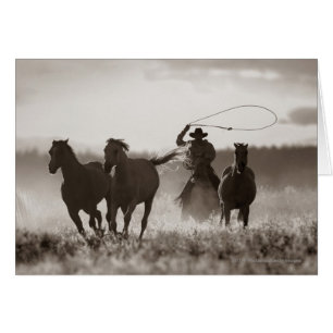 Photo en noir et blanc d'un Cowboy Lassos Horses