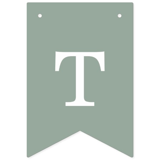 Photo Engagement Party Eucalyptus Drapeaux de Bunt (Deuxième drapeau)