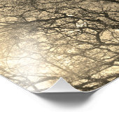 Photo Enlargement (Coin)