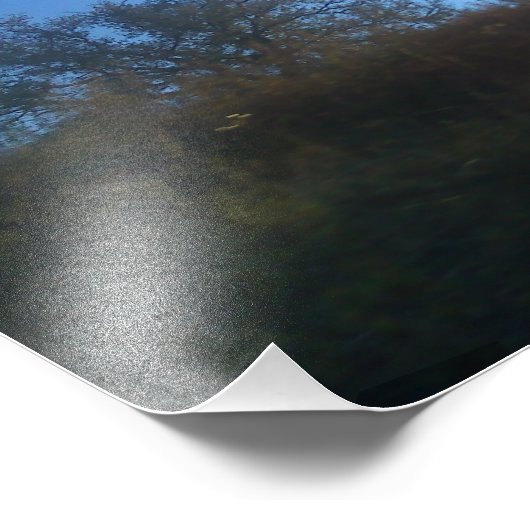 Photo Enlargement (Coin)