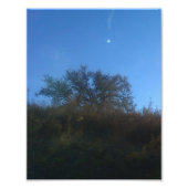 Photo Enlargement (Devant)