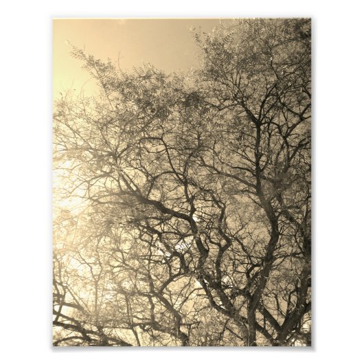 Photo Enlargement Foto Afdruk (Voorkant)