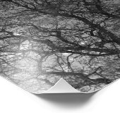 Photo Enlargement Foto Afdruk (Hoek)