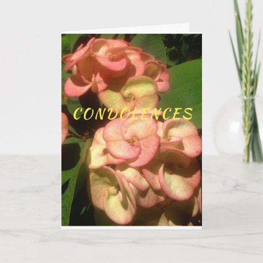 Photo et dessin originaux sur la carte de (Devant)