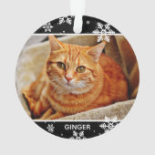 Photo et nom de 2 animaux pour Noël, Chat de Noël (dos)