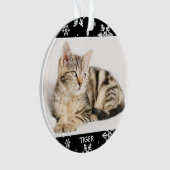 Photo et nom de 2 animaux Snowy 2 pour Noël Chat d (devant)