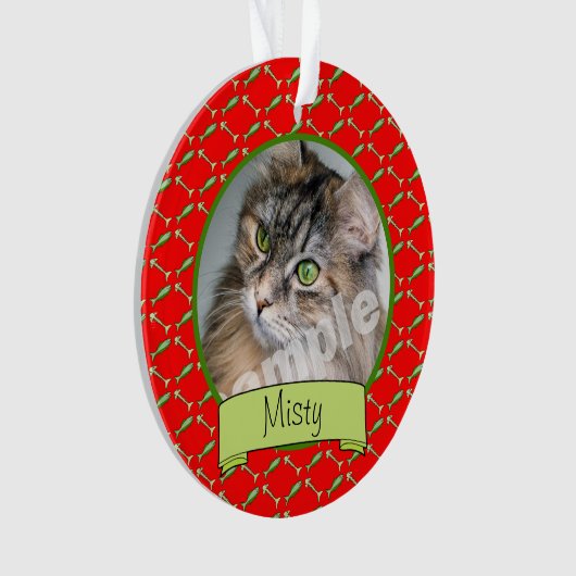 Photo et nom de chat d'Adoranle Kitty (devant)