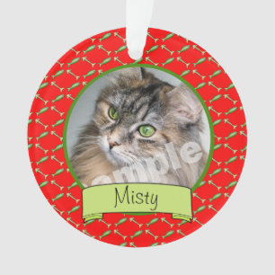 Photo et nom de chat d'Adoranle Kitty