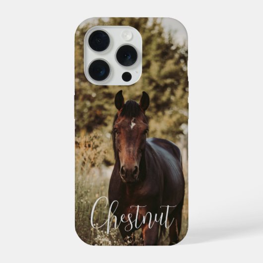 Photo et nom du cheval (Verso)