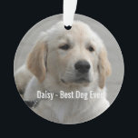 Photo et nom personnalisés Golden Retriever Dog<br><div class="desc">Personnalisez cette conservation avec la photo et le nom de votre chien ou de votre chiot (ou avec la photo/le nom d'un autre animal ou d'une autre personne). Texte : "Best Dog Ever" ou ajoutez votre propre texte - Nous aimons Daisy (nom du chien), l'anniversaire du chien ou le jour...</div>