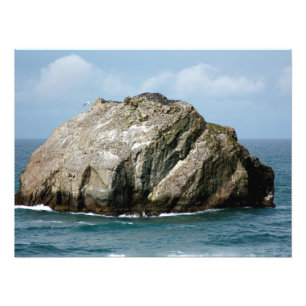 Photo Face Rock de Bandon Oregon