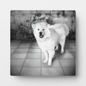 Photo Faithful Love Plaque (Devant)