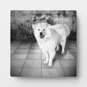 Photo Faithful Love Plaque