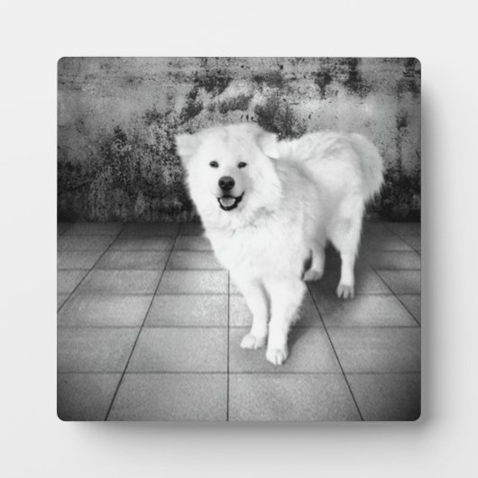 Photo Faithful Love Plaque (Devant)