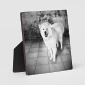 Photo Faithful Love Plaque (Recto)