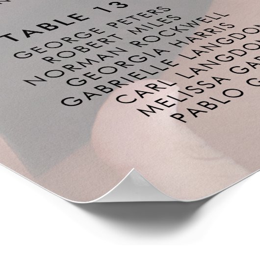 Photo Faux Vellum Élégant tableau de mariage (Coin)