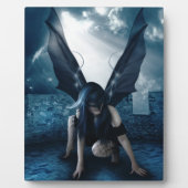 Photo Fée de l'Odd Plaque (Devant)